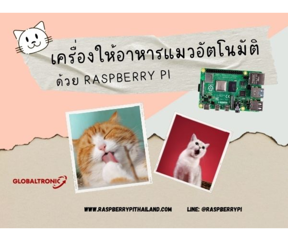 ปกบทความให้อาหารแมวอัตโนมัติ Raspberry Pi