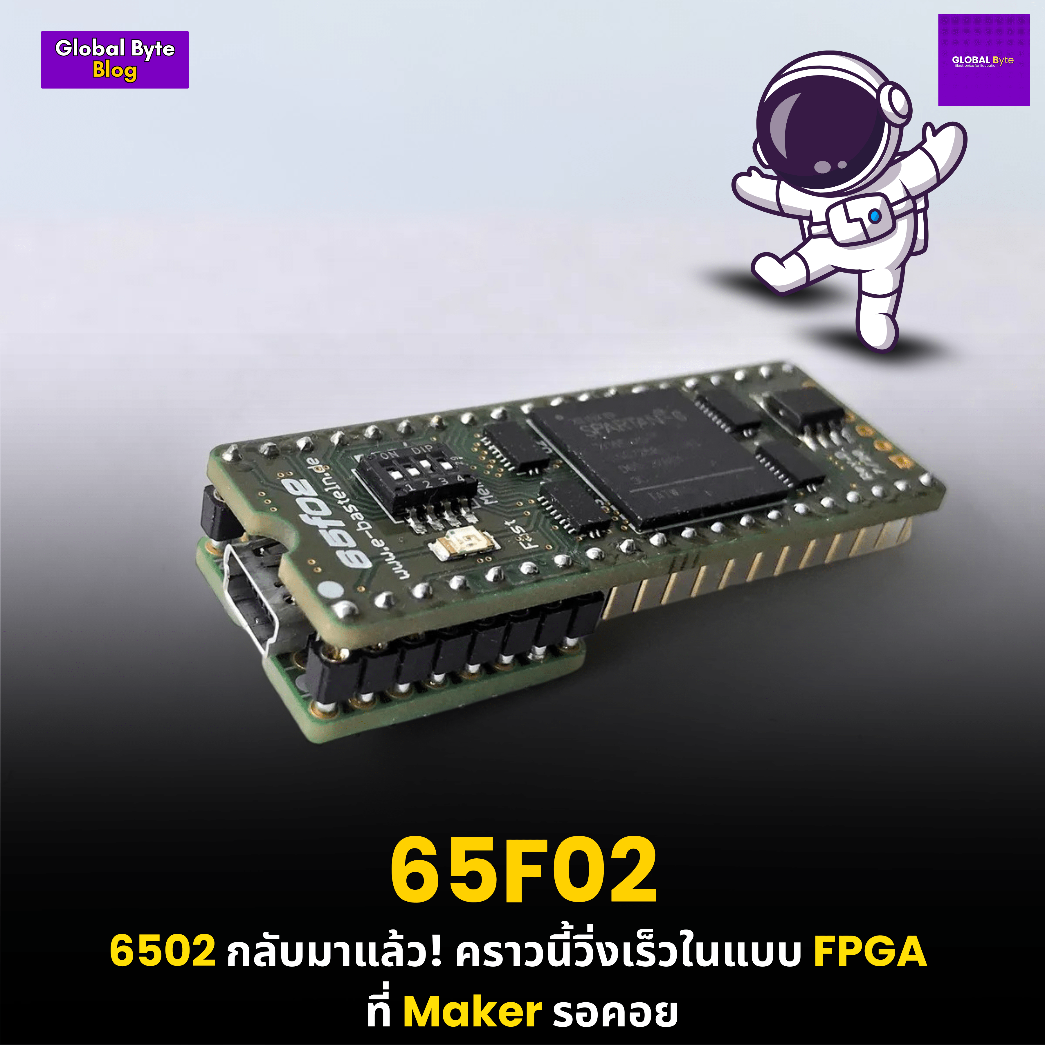 6502 กลับมาแล้ว! คราวนี้วิ่งเร็วในแบบ FPGA  ที่ Maker รอคอย - บริษัท โกลบอลโทรนิค อินเตอร์เทรด จํากัด