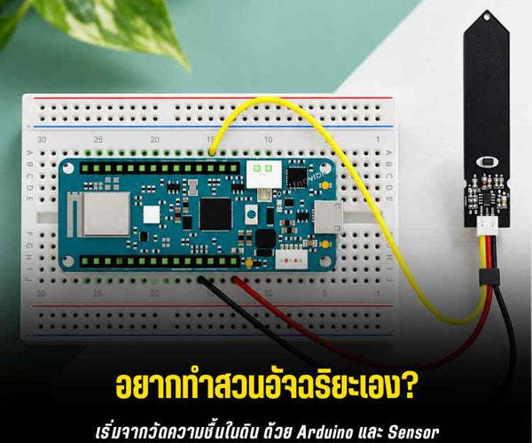 Arduino MKR WiFi 1010 วัดความชื้นดินด้วย Sensor – บริษัท โกลบอลโทรนิค ...