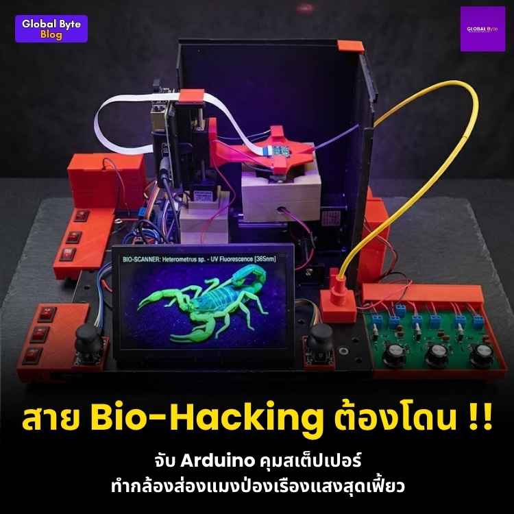 สร้างกล้องจุลทรรศน์เรืองแสงดิจิทัล (F.D.M.) แบบ DIY ส่องทะลุความลับของธรรมชาติ!