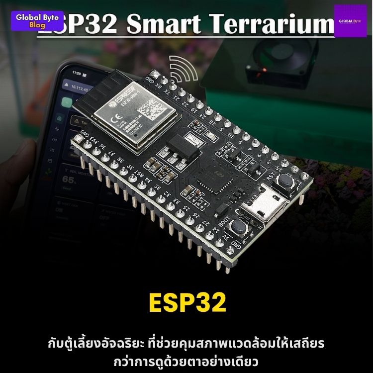 สร้างตู้ Terrarium อัจฉริยะด้วย ESP32: คุมแสง น้ำ และความชื้นผ่านเว็บแบบอัตโนมัติ!