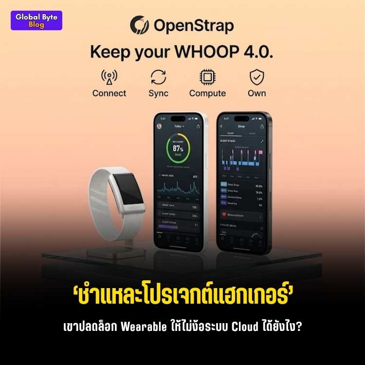 ปลดล็อกกำไลสุขภาพ! แฮก WHOOP 4.0 ให้ใช้ฟรีไม่ง้อรายปีด้วย OpenStrap