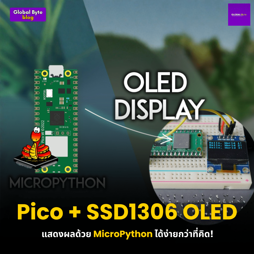 Raspberry Pi Pico + SSD1306 OLED Display - บริษัท โกลบอลโทรนิค อินเตอร์เทรด จํากัด