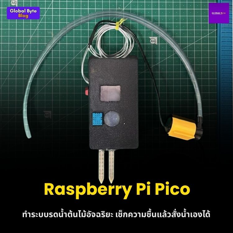 สร้างระบบรดน้ำต้นไม้ผ่าน Wi-Fi ด้วย Raspberry Pi Pico W (The Thirsty Pi)