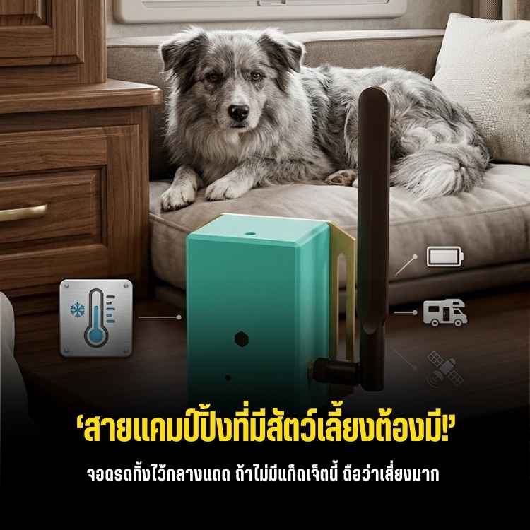 เซฟชีวิตน้องหมาน้องแมว! สร้าง Pet Monitor แคมป์ปิ้งรถบ้านด้วย Raspberry Pi