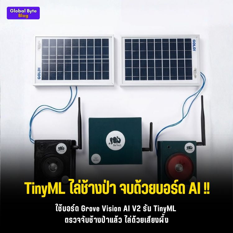 ใช้ TinyML ไล่ช้างป่า! ส่องโปรเจกต์ EleTect ตรวจจับด้วย AI และใช้เสียงผึ้งเป็นอาวุธ