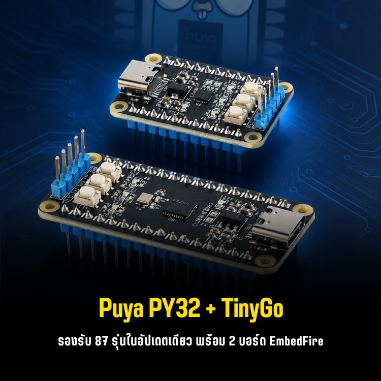 tinygo-0-42-puya-py32-mcu