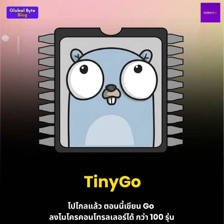 เขียนโค้ดไมโครคอนโทรลเลอร์ด้วยภาษา Go! อัปเดตใหม่ TinyGo รองรับกว่า 100 บอร์ดแล้ว