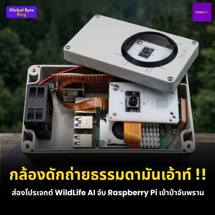 สร้างระบบ AI เฝ้าระวังสัตว์ป่า (WildLife AI) ด้วย Raspberry Pi 5 และ LoRa