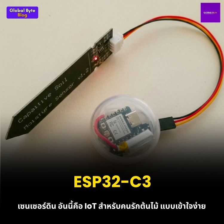 ต้นไม้หิวน้ำก็บอกได้! ทำเครื่องวัดความชื้นดินจิ๋วด้วย XIAO ESP32-C3 🪴💧