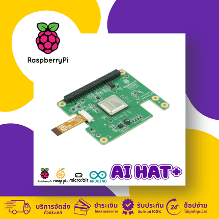 Raspberry Pi AI HAT+