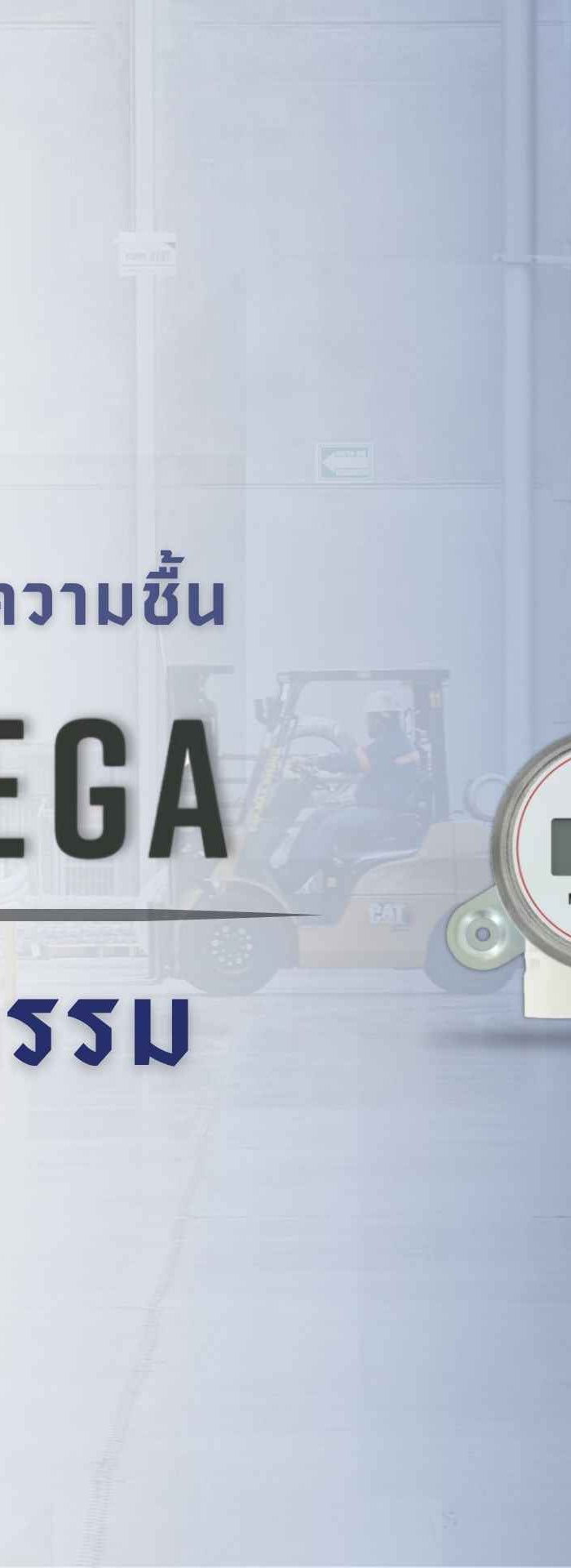 เครื่องมือวัดอุตสาหกรรม DwyerOmega สำหรับงานโรงงานและงานระบบ