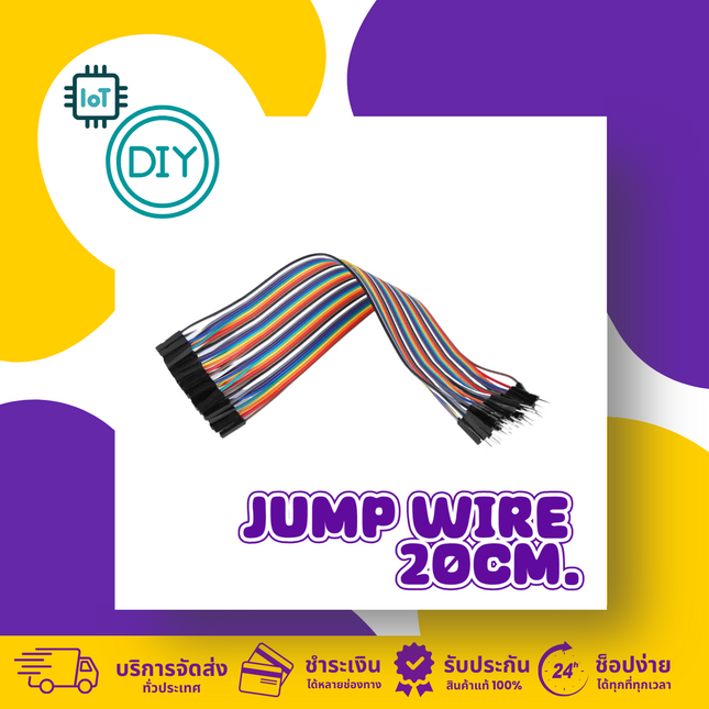 Jump Wire (Male to Female) 20cm.