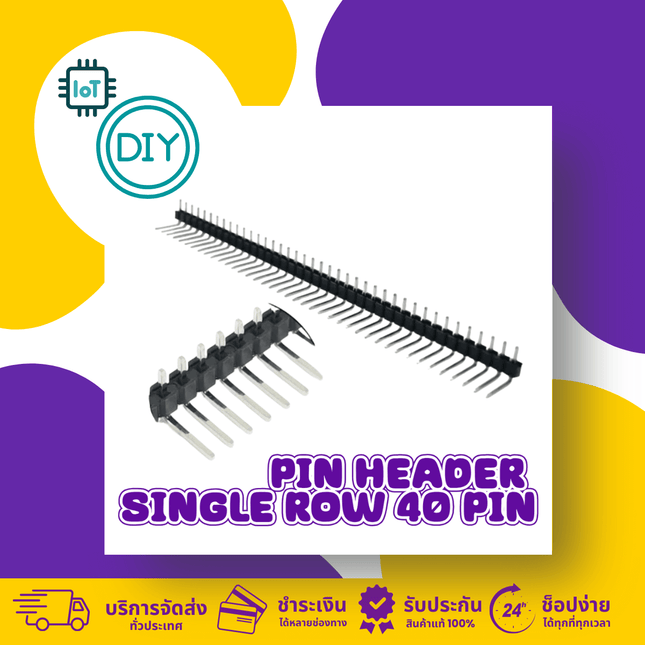 Pin Header Single Row 40 Pin