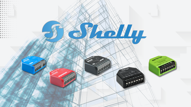 <h6><strong>shelly</strong></h6>